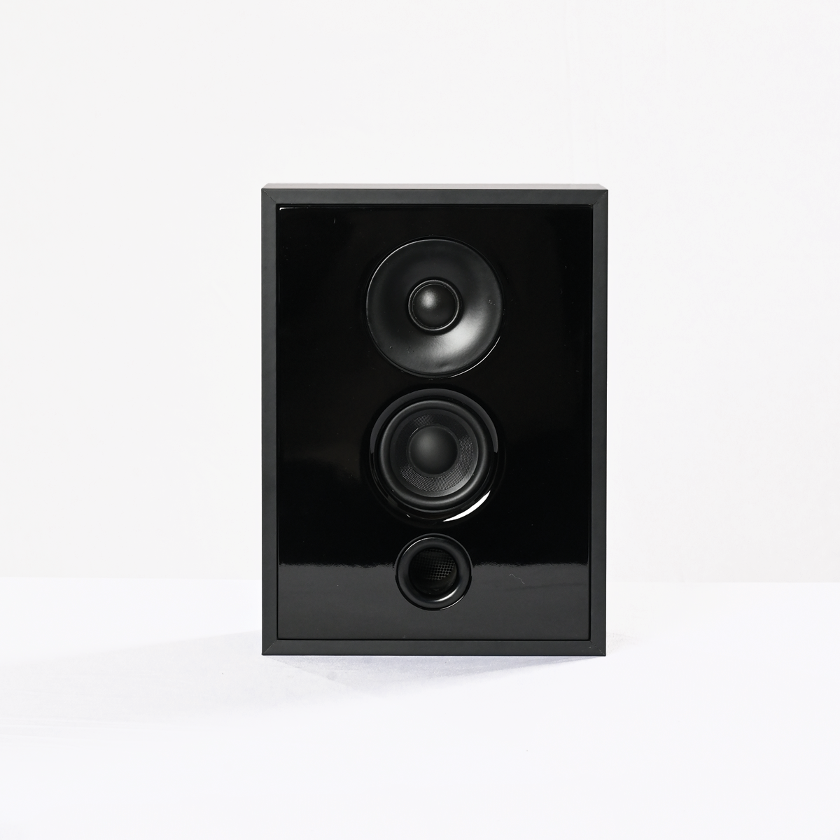 IWO 801 2-way shallow profile speaker