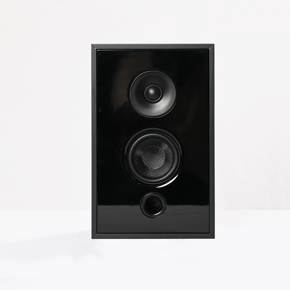 IWO 802 2-way shallow profile speaker