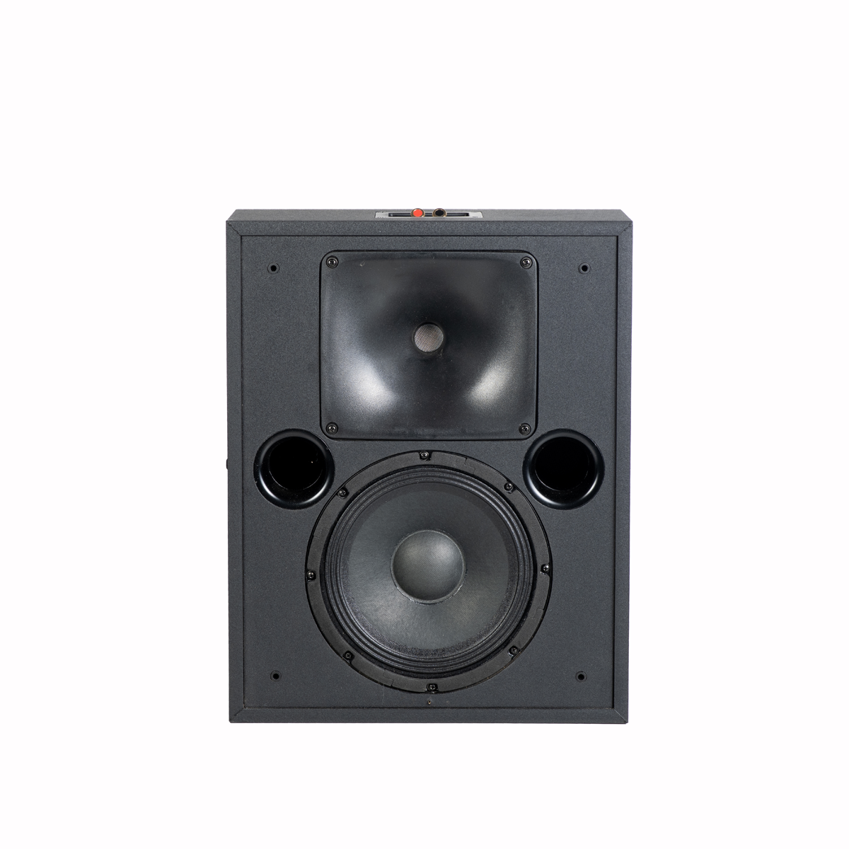 SRT 4301 Premium Surround Speaker